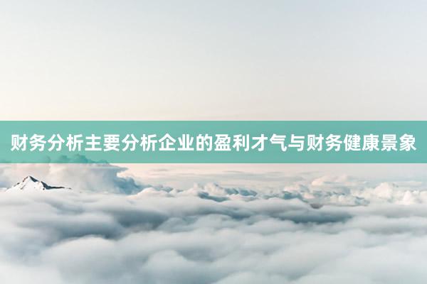 财务分析主要分析企业的盈利才气与财务健康景象