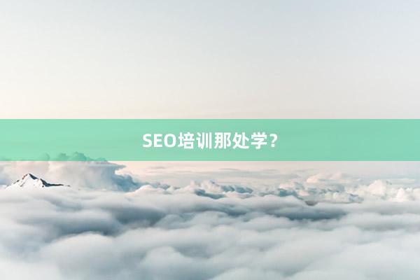 SEO培训那处学？